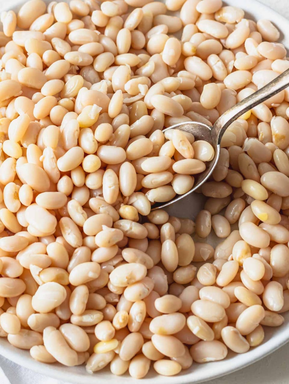 How to Cook White Beans